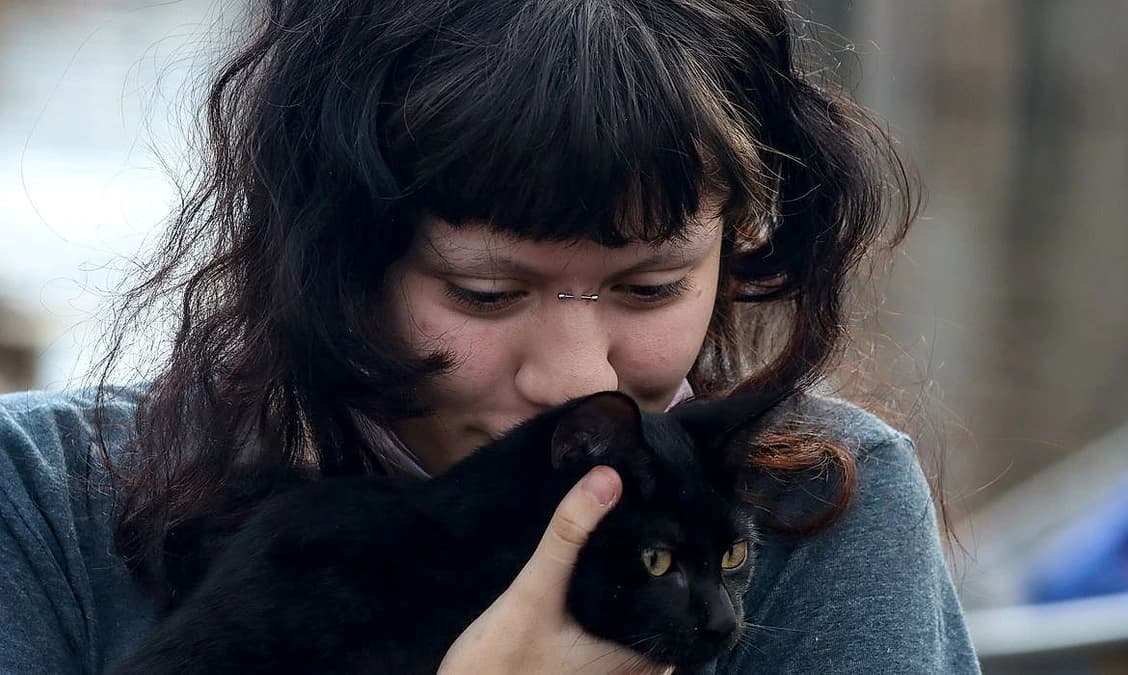 Prefeitura de São Paulo amplia programa gratuito de castração de cães e gatos