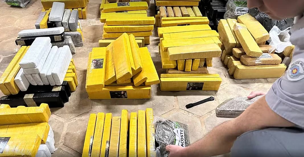 Polícia apreende quase 500 kg de maconha em operação conjunta na Rodovia Marechal Rondon