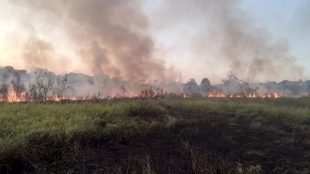 Incêndio em pastagem próximo à SP-294 mobiliza bombeiros e Defesa Civil