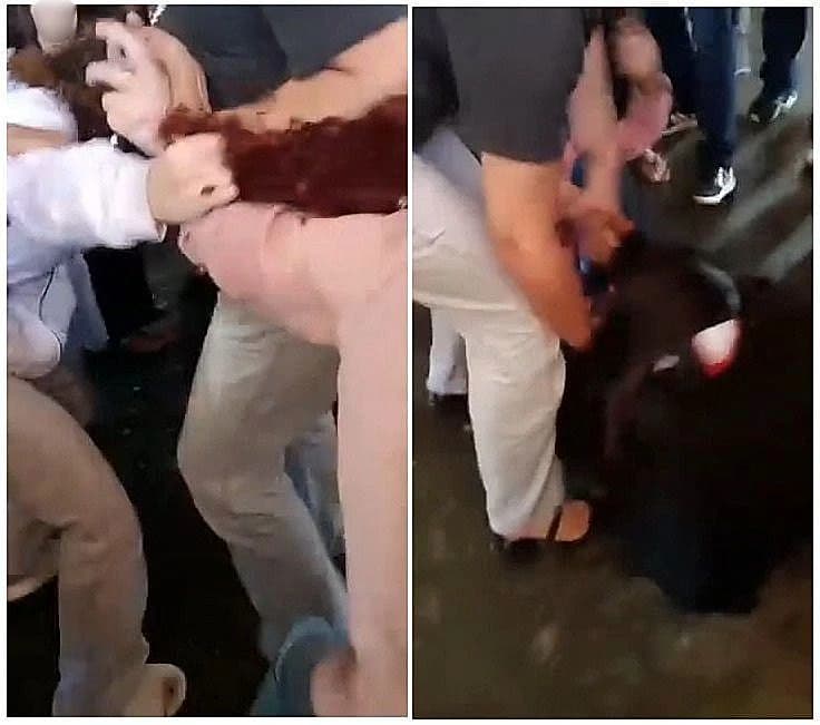 Alunas se agredem em escola de Marília; vídeo alerta sobre segurança