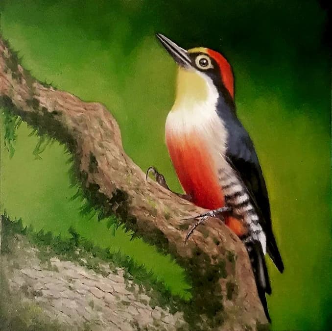 Exposição gratuita “Ecos da Tradição” chega ao Marília Shopping