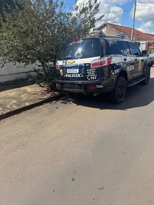 Polícia Civil prende homem por maus-tratos a oito cães em Marília